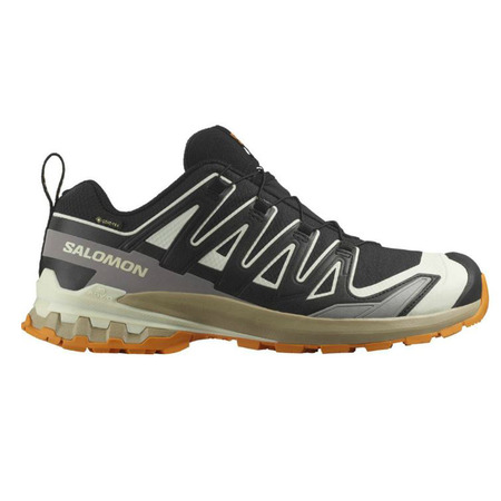 Chaussures Salomon XA PRO 3D V9 GTX Noir/Vanille