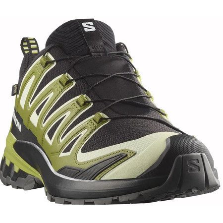 Chaussure Salomon XA PRO 3D V9 GTX Noir/Vert