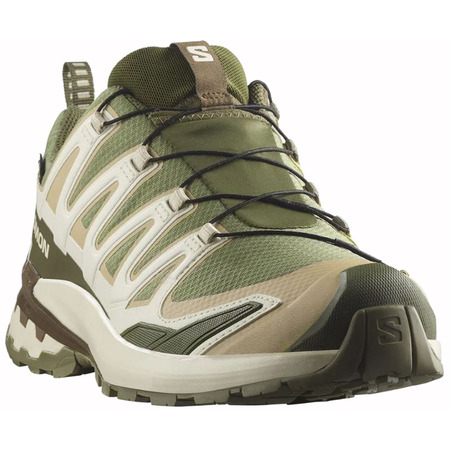Chaussure Salomon XA PRO 3D V9 GTX Vert/Beige