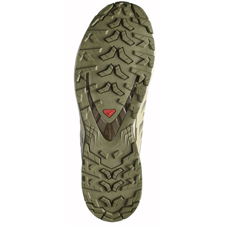 Chaussure Salomon XA PRO 3D V9 GTX Vert/Beige