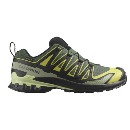 Chaussure Salomon XA PRO 3D V9 GTX Vert Citron