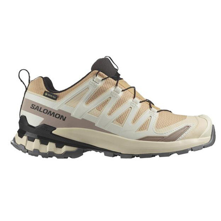 Chaussure de course Salomon XA Pro 3D V9 GTX W Beige/Marron