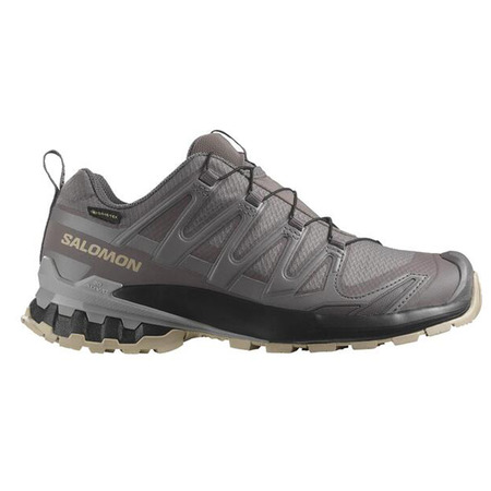 Chaussure Salomon XA PRO 3D V9 GTX W Gris
