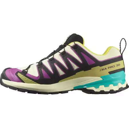 Chaussure Salomon XA PRO 3D V9 GTX W Multicolore