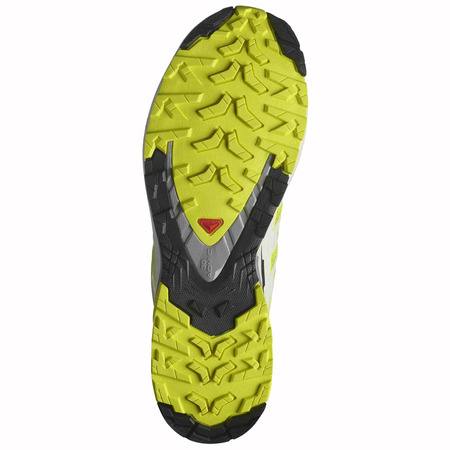 Salomon XA PRO 3D V9 Lima, baskets