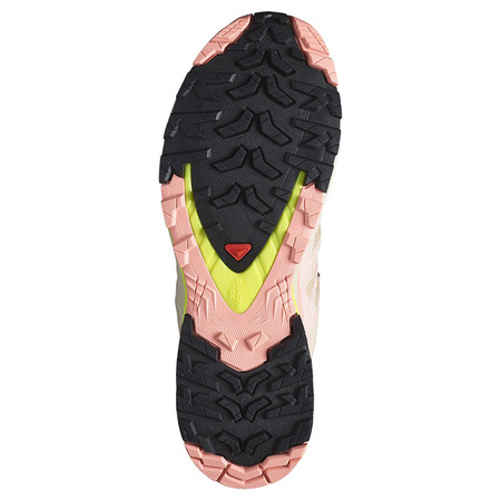 Chaussure Salomon XA PRO 3D V9 W GTX Beige/Rose