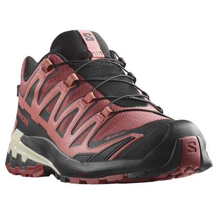 Chaussure Salomon XA PRO 3D V9 W GTX Bordeaux/Noir