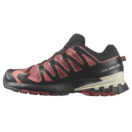 Chaussure Salomon XA PRO 3D V9 W GTX Bordeaux/Noir