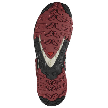Chaussure Salomon XA PRO 3D V9 W GTX Bordeaux/Noir
