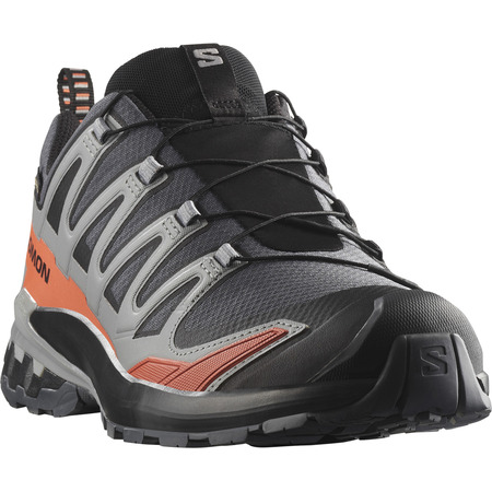 Chaussure de trail Salomon XA PRO 3D V9 Wide GTX Gris/Tile