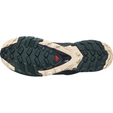 Chaussure Salomon XA Wild W Turquoise / Rose