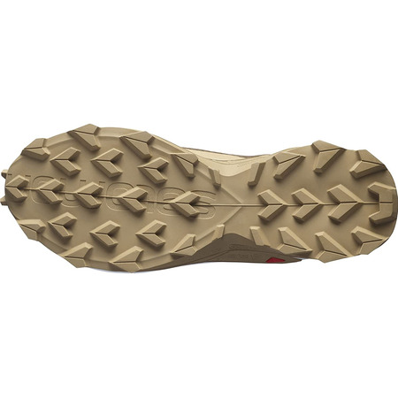 Chaussures Salomon Alphacross 3 GTX Marron / Beige