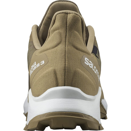 Chaussures Salomon Alphacross 3 GTX Marron / Beige