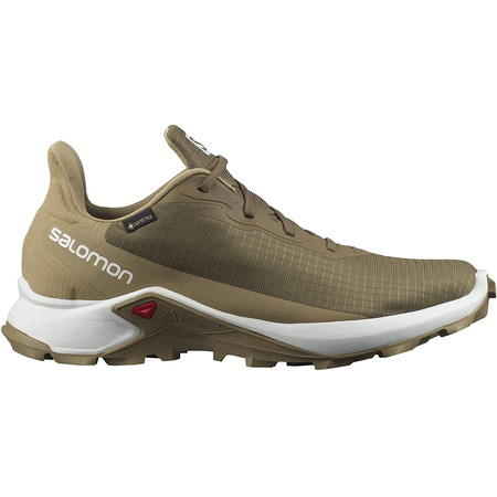 Chaussures Salomon Alphacross 3 GTX Marron / Beige