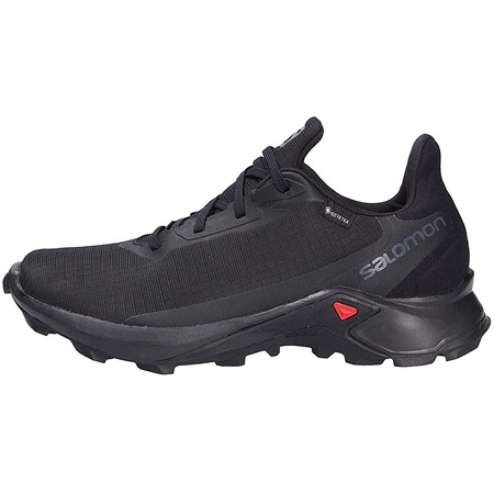 Chaussures Salomon Alphacross 3 GTX Noir