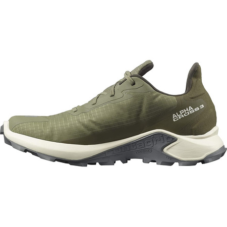 Chaussures Salomon Alphacross 3 GTX Vert