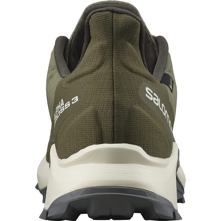 Chaussures Salomon Alphacross 3 GTX Vert