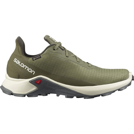 Chaussures Salomon Alphacross 3 GTX Vert