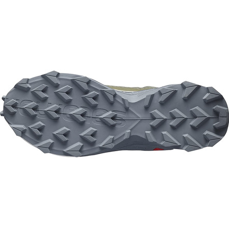 Chaussures Salomon Alphacross 3 GTX Vert