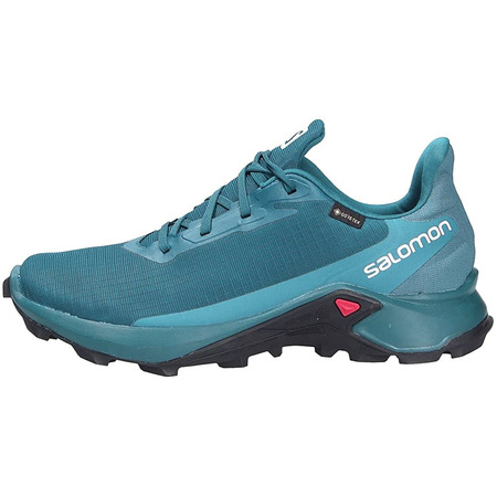 Chaussures Salomon Alphacross 3 GTX Vert Aqua