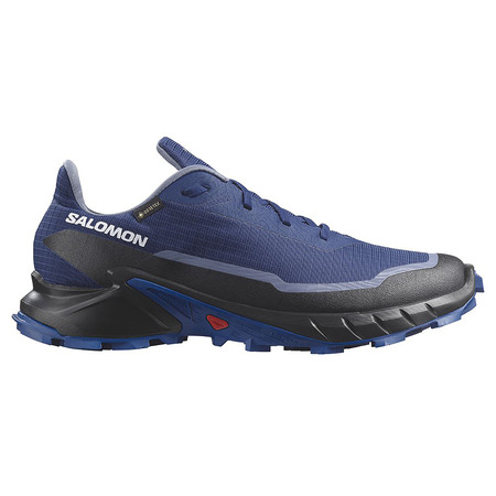 Chaussures Salomon Alphacross 5 GTX bleu