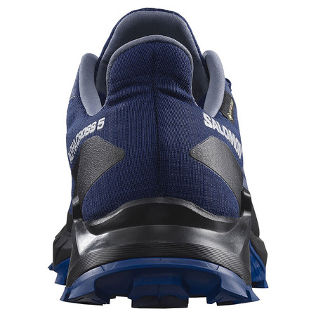 Chaussures Salomon Alphacross 5 GTX bleu