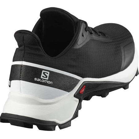 Zapatillas Salomon Alphacross Nonir