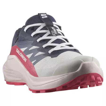 Baskets Salomon Alphaglide GTX W Gris/Noir/Fuchsia