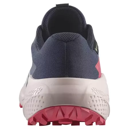 Baskets Salomon Alphaglide GTX W Gris/Noir/Fuchsia