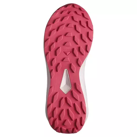 Baskets Salomon Alphaglide GTX W Gris/Noir/Fuchsia