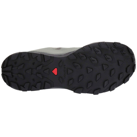 Zapatillas Salomon Aperçu GTX W Gris/Coral