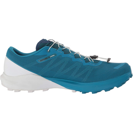Zapatillas Salomon Sens 4/Pro Bleu