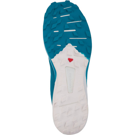 Zapatillas Salomon Sens 4/Pro Bleu