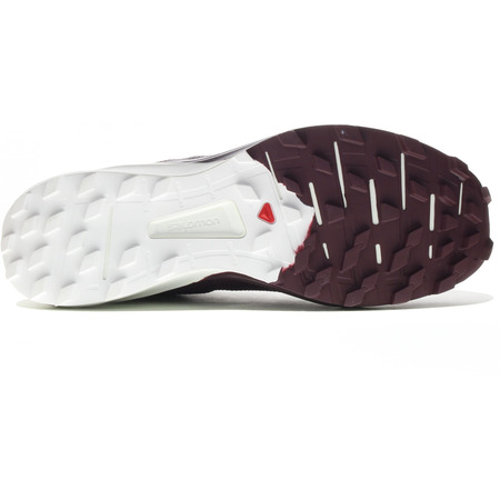 Zapatillas Salomon Sense 4 W/Pro Adresse