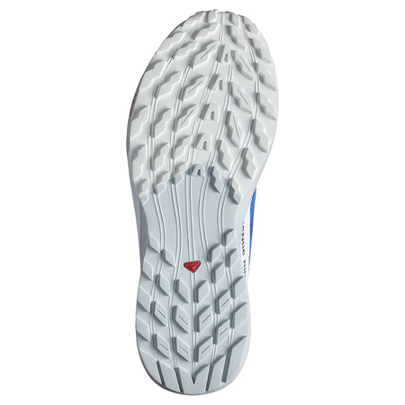 Chaussures Salomon Sense Ride 5 Bleu/Blanc
