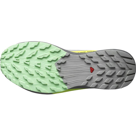 Chaussures Salomon Sense Ride 5 Gris/Lime