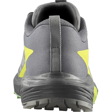 Chaussures Salomon Sense Ride 5 Gris/Lime