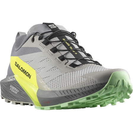 Chaussures Salomon Sense Ride 5 Gris/Lime