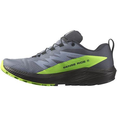 Chaussures Salomon Sense Ride 5 GTX Gris/Vert/Noir
