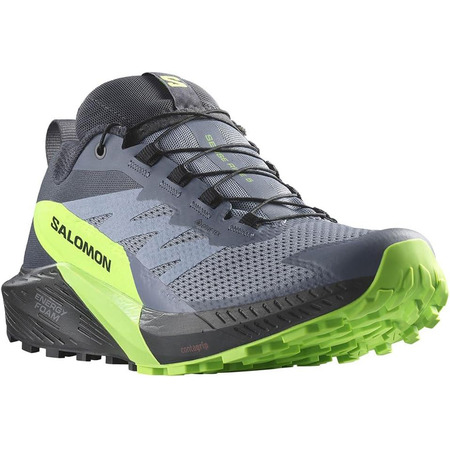 Chaussures Salomon Sense Ride 5 GTX Gris/Vert/Noir
