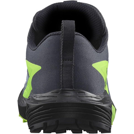 Chaussures Salomon Sense Ride 5 GTX Gris/Vert/Noir