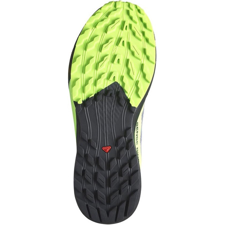 Chaussures Salomon Sense Ride 5 GTX Gris/Vert/Noir