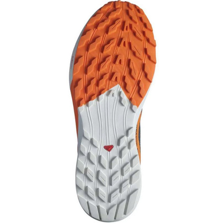Chaussures Salomon Sense Ride 5 GTX Marine/Orange