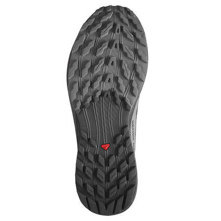 Chaussures Salomon Sense Ride 5 GTX noir