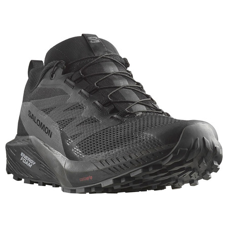 Chaussures Salomon Sense Ride 5 GTX noir