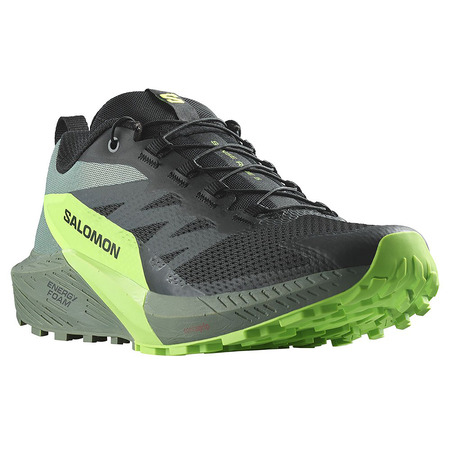 Chaussures Salomon Sense Ride 5 Nonir/Vert