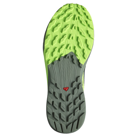 Chaussures Salomon Sense Ride 5 Nonir/Vert