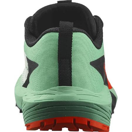 Chaussures Salomon Sense Ride W Vert