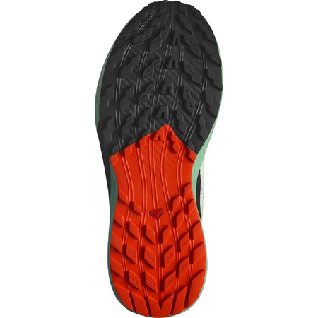 Chaussures Salomon Sense Ride W Vert