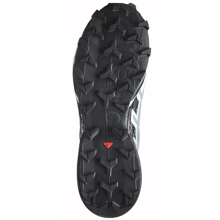 Chaussures Salomon Speedcross 6 GTX W Gris